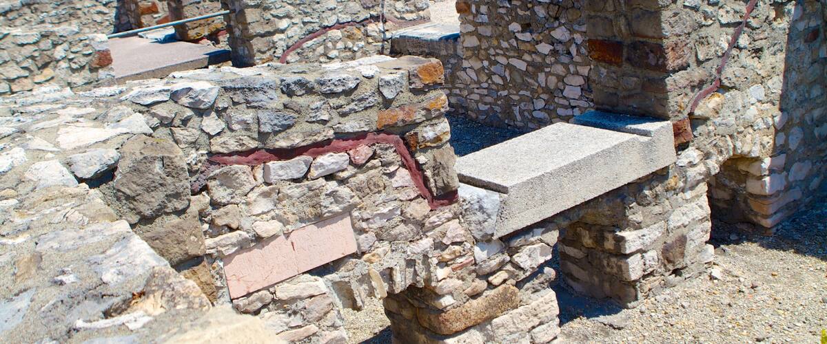 Museo y jardín de ruinas Aquincum que incluye una ruina