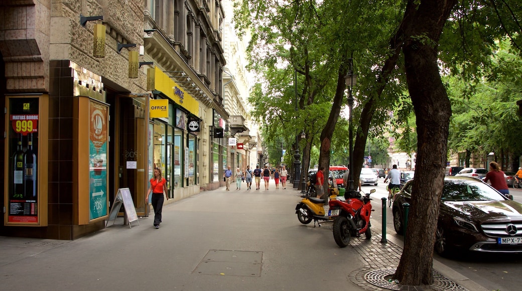 Andrassy Avenue featuring street scenes and a city as well as an individual femail
