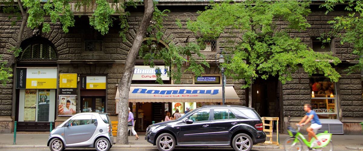 Andrassy Avenue which includes signage, street scenes and cycling