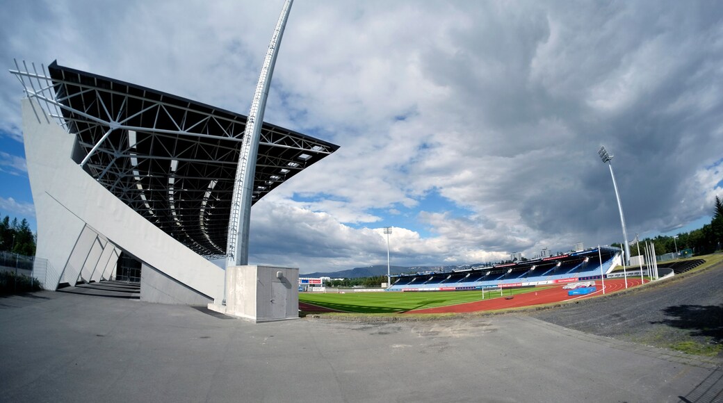 Laugardalsvollur idrottsarena