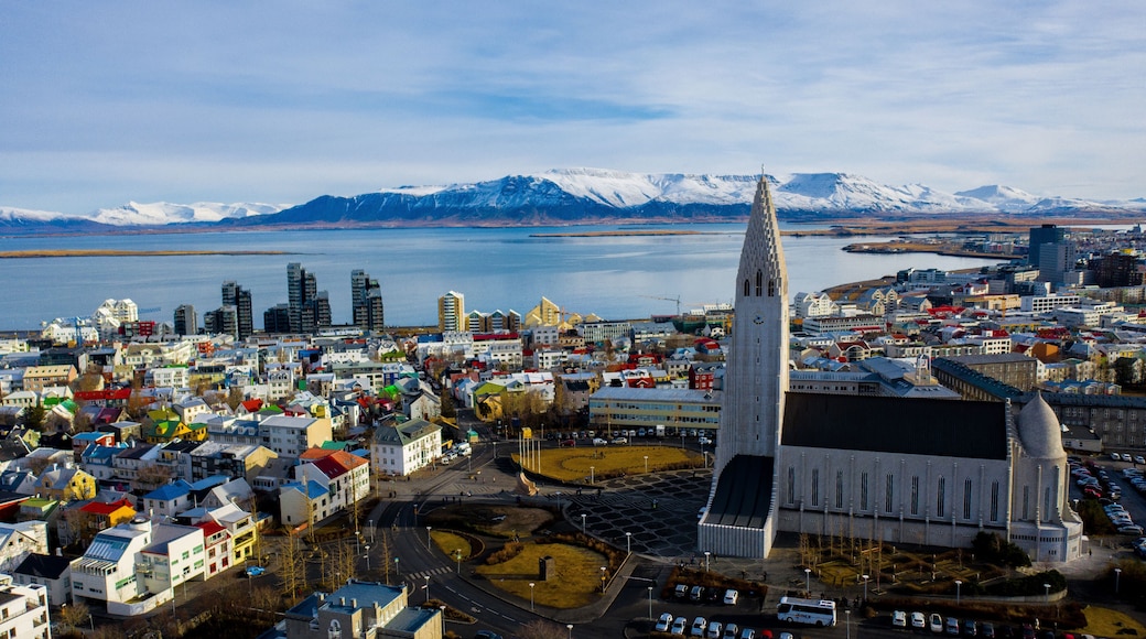 Trung tâm Reykjavik