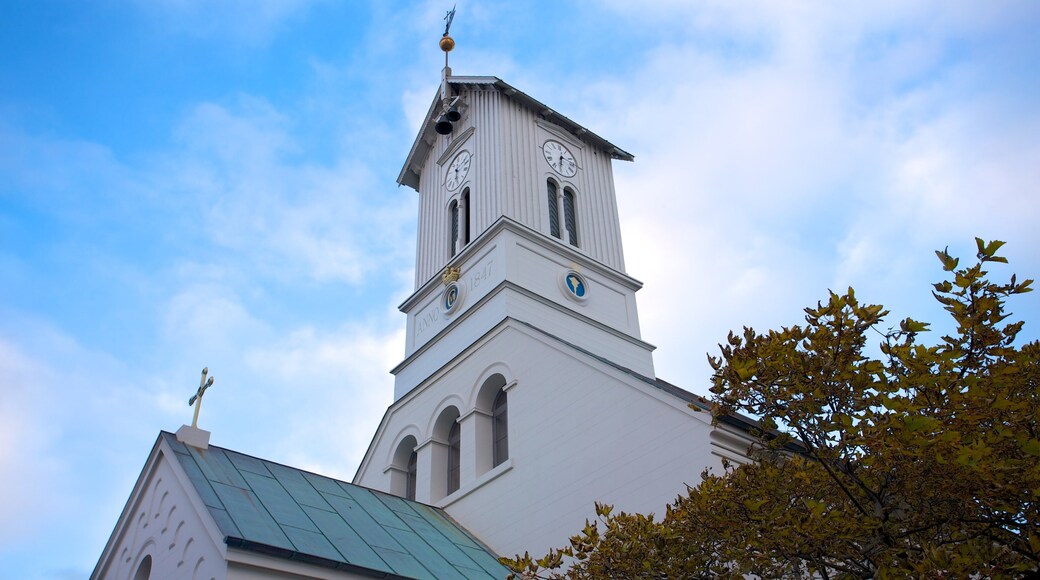 National Cathedral showing religious aspects and a church or cathedral
