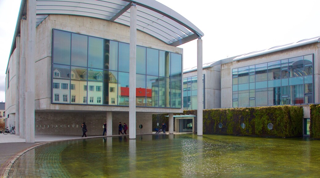 レイキャビク市庁舎 フィーチャー ストリート シーン と 池