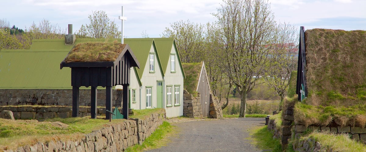 Arbaejarsafn which includes farmland, a house and street scenes