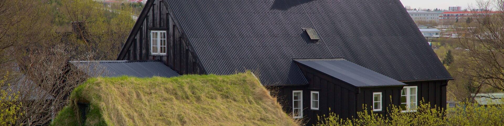 A black house with a sloped roof and a chimney, surrounded by a grassy field and trees.
