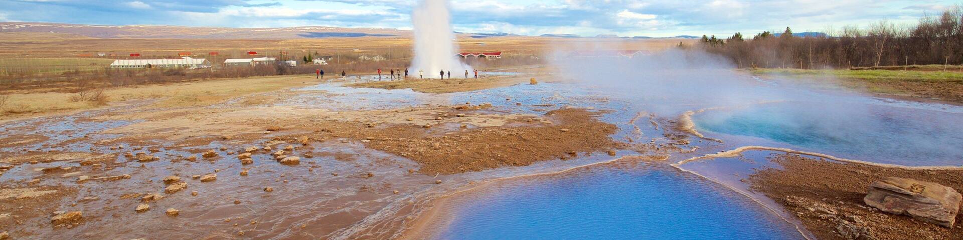 A geothermal area with hot springs and a geyser.