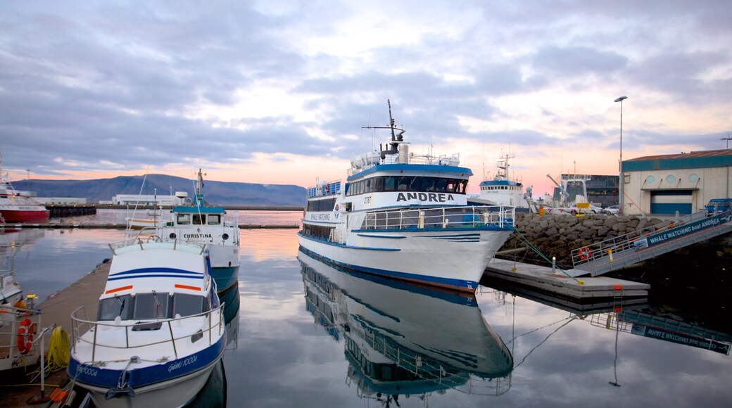 Port de Reykjavik qui includes vues littorales, baie ou port et navigation