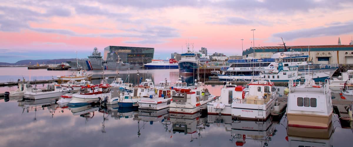 Reykjavik Harbour which includes general coastal views, boating and a bay or harbor