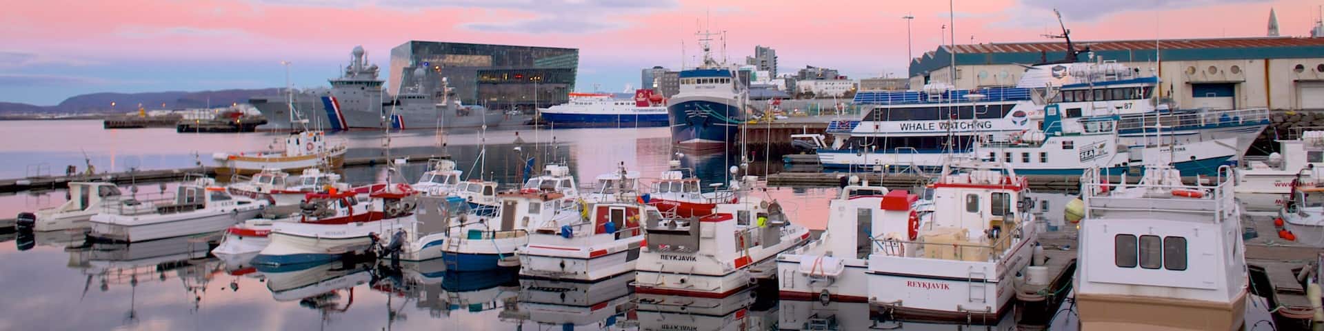 Reykjavik Harbour which includes general coastal views, boating and a bay or harbor
