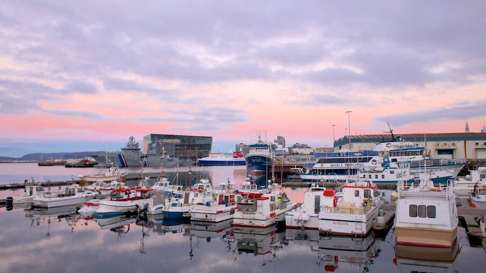 Reykjavik Harbour which includes general coastal views, boating and a bay or harbor
