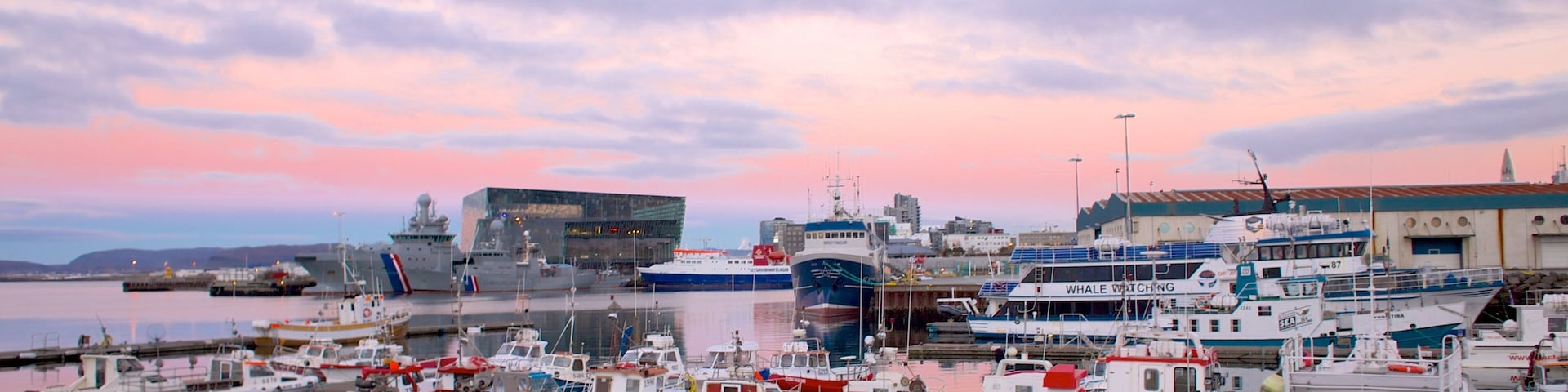 Reykjavik Harbour which includes general coastal views, boating and a bay or harbor