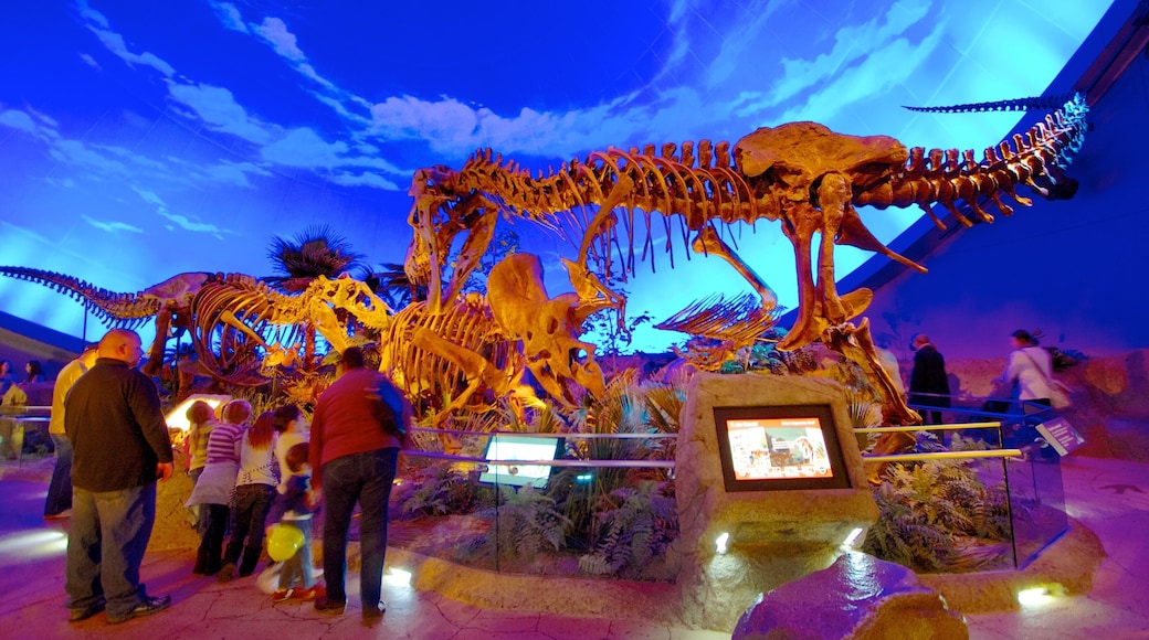 인디애나폴리스 어린이 박물관 을 보여주는 실내 전경 뿐만 아니라 대규모 사람들