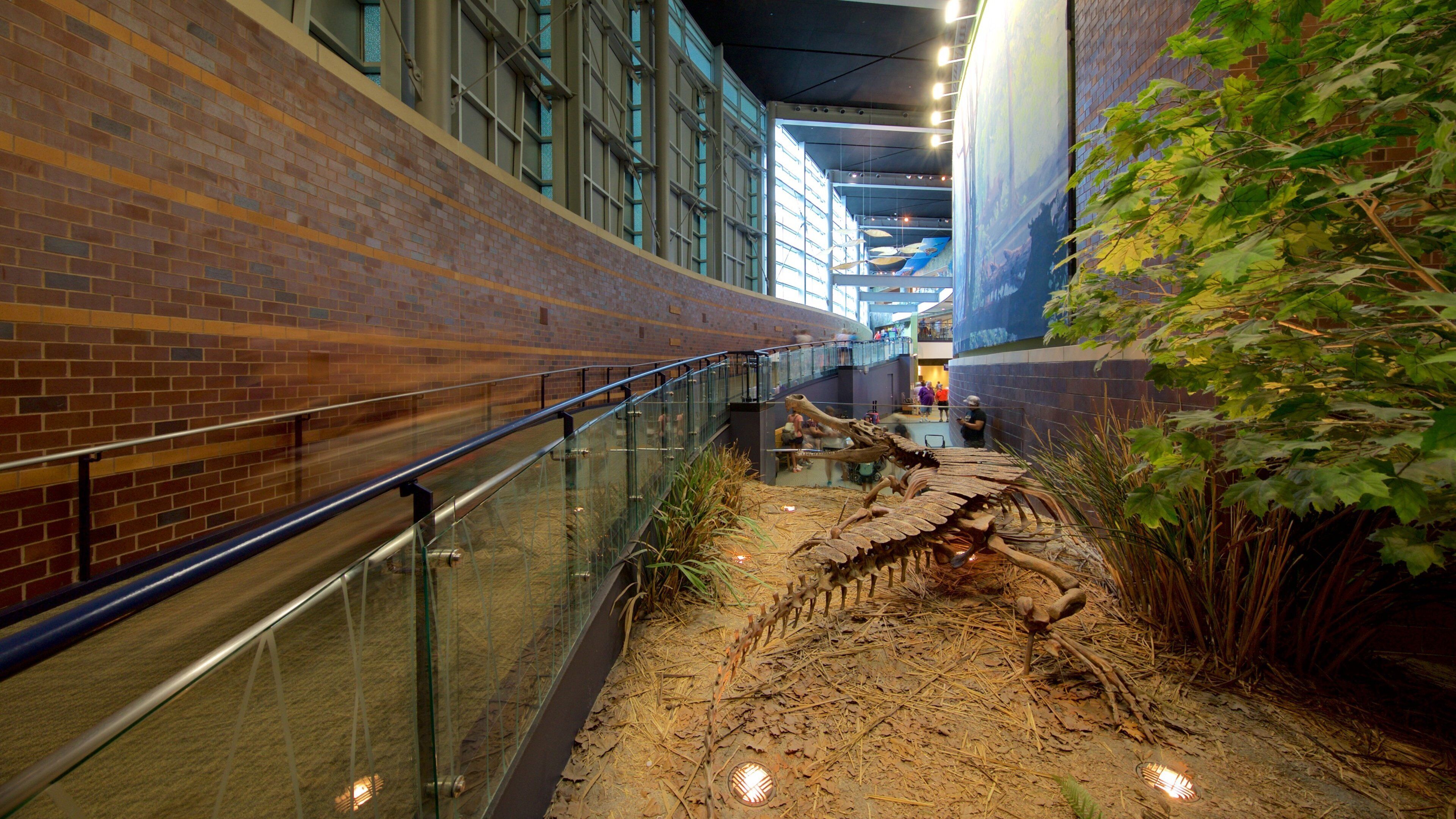 พิพิธภัณฑ์เด็ก อินเดียแนโพลิส แสดง การตกแต่งภายใน