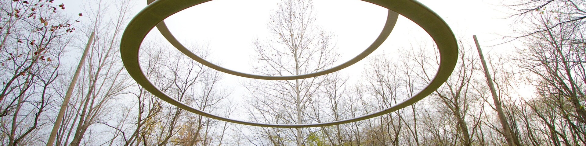 Una escultura metálica circular en un parque con árboles sin hojas y una zona cubierta de césped.