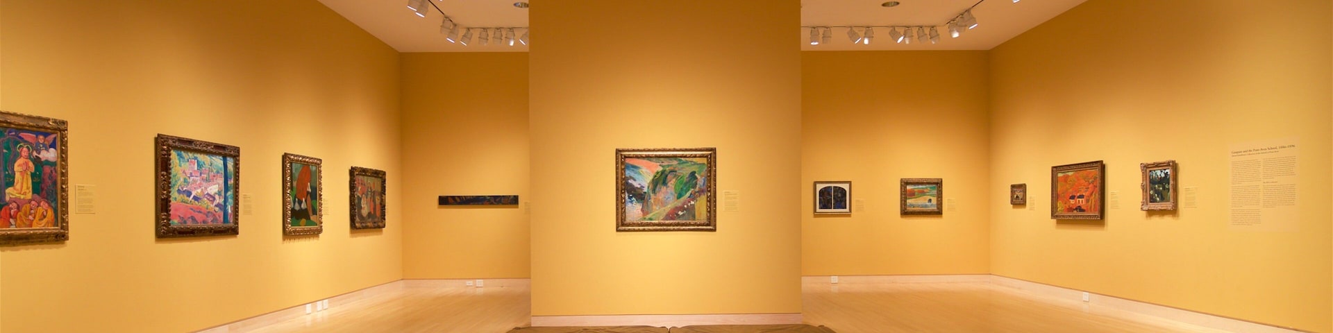 Indianapolis Museum of Art mostrando vistas internas e arte