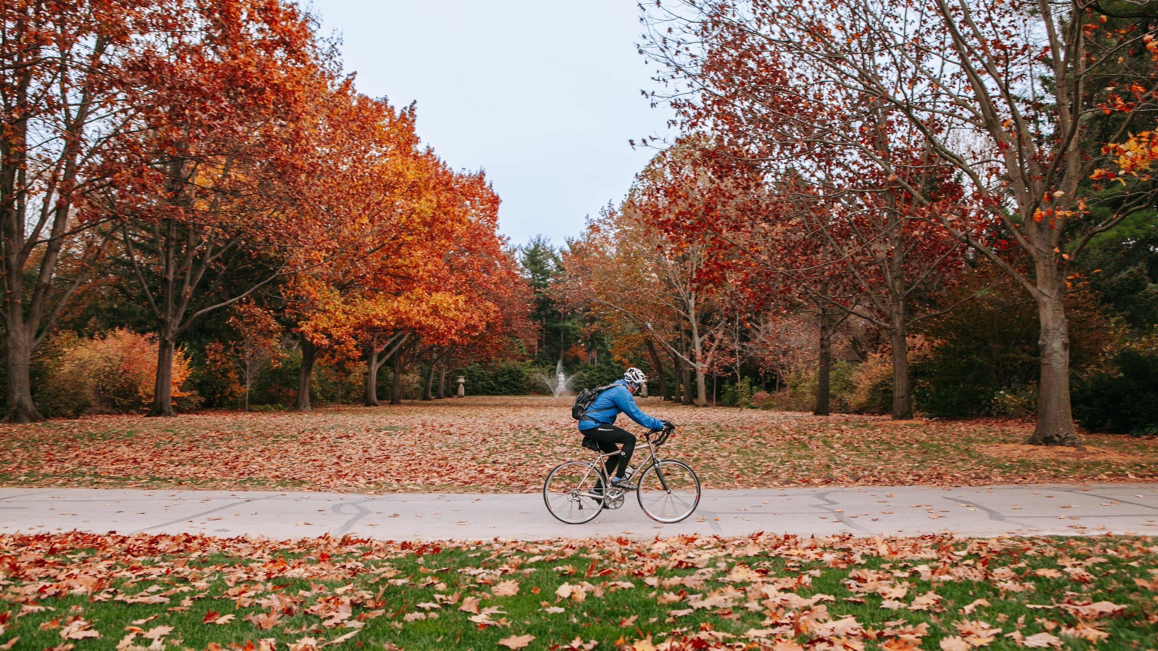 Indianapolis Museum of Art at Newfields featuring cycling, autumn leaves and a garden