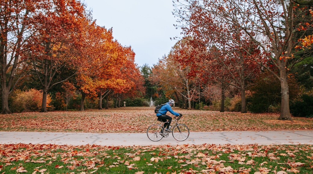 Indianapolis Museum of Art at Newfields featuring cycling, autumn leaves and a garden