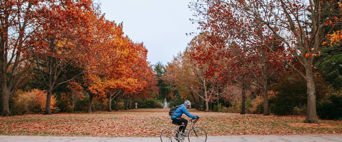 Indianapolis Museum of Art at Newfields featuring cycling, autumn leaves and a garden