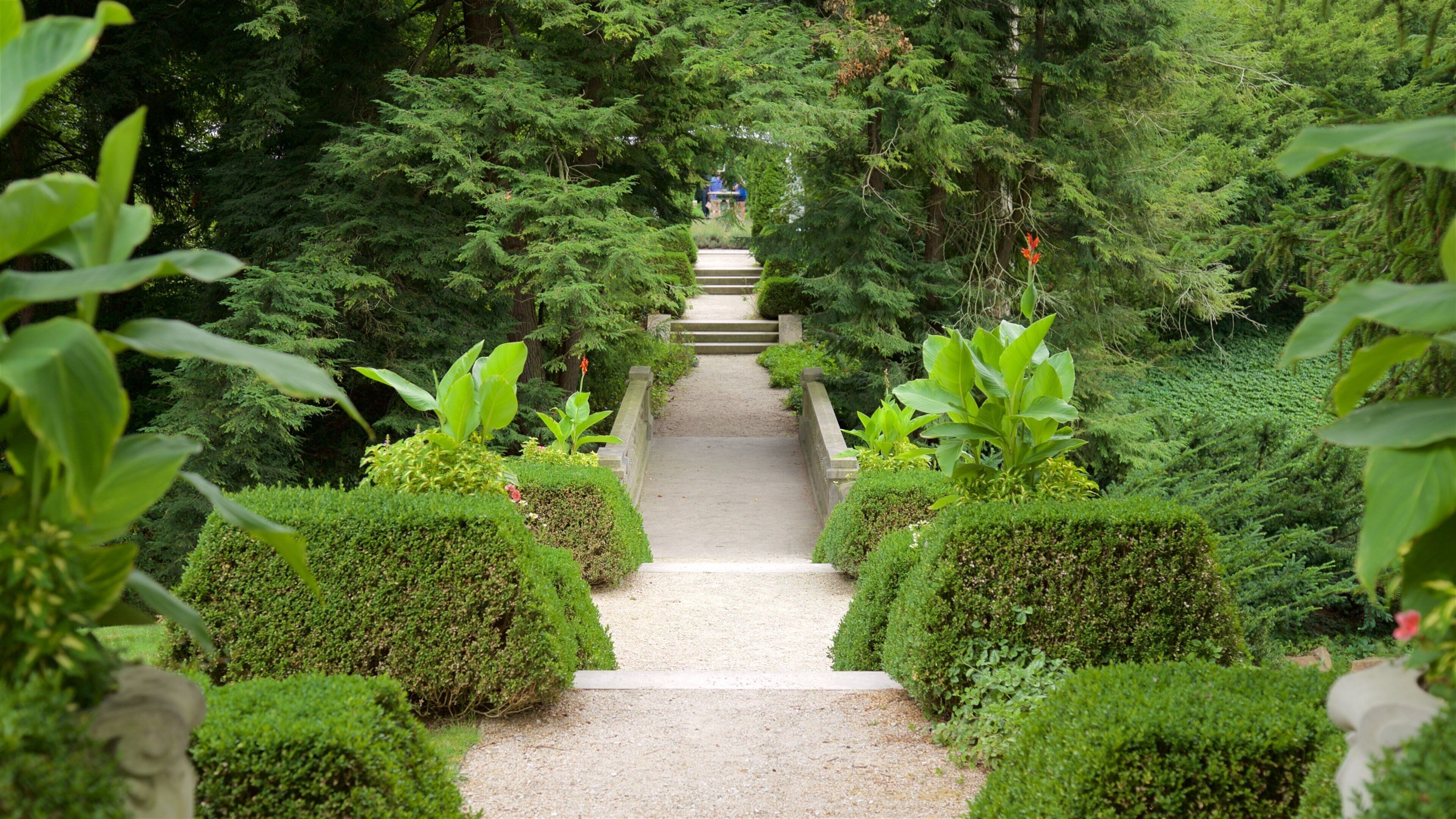 Indianapolis Museum of Art which includes a park
