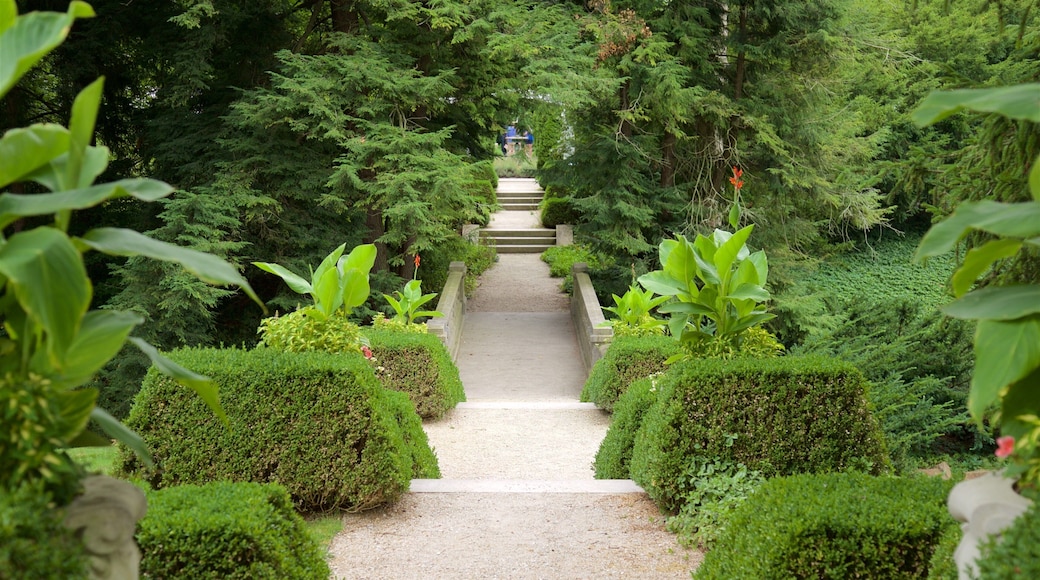 Indianapolis Museum of Art which includes a park