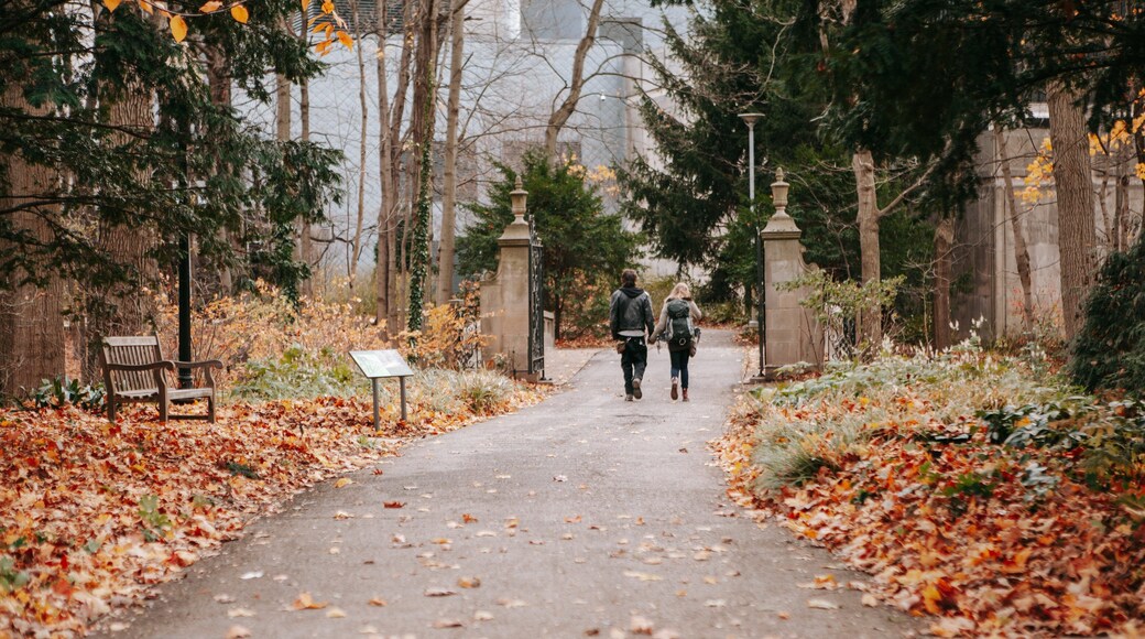 Indianapolis Museum of Art at Newfields featuring fall colors and a park as well as a couple