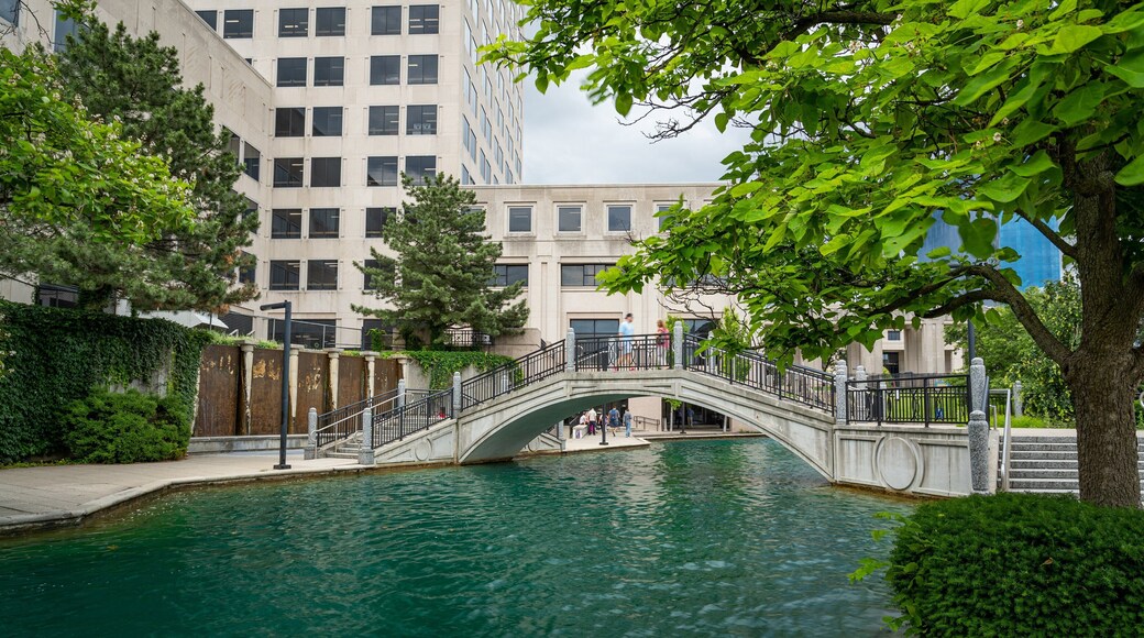 White River State Park showing a river or creek and a bridge