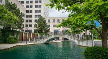 White River State Park showing a river or creek and a bridge
