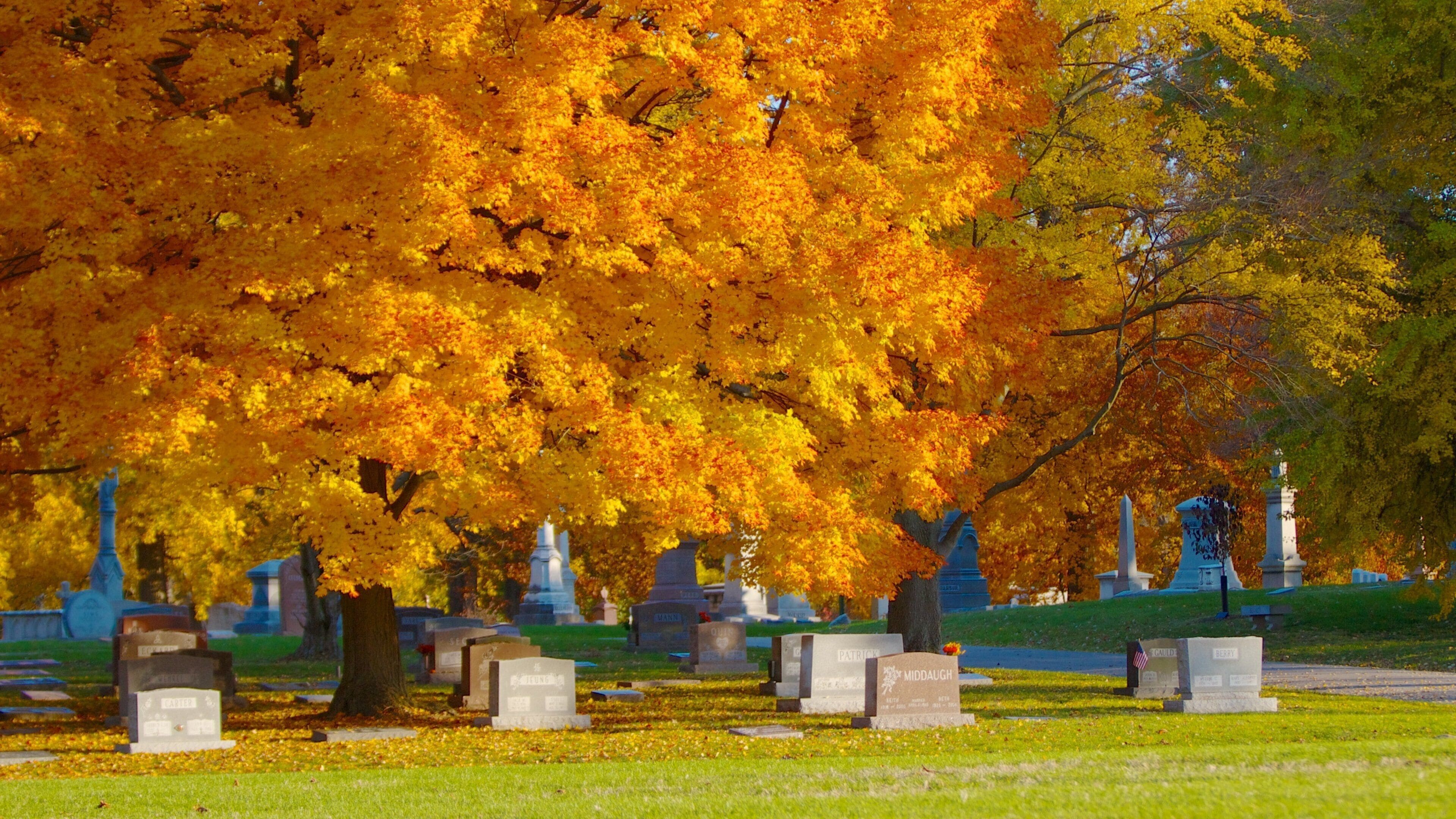 Cimetière de Crown Hill qui includes cimetière, couleurs d\'automne et parc