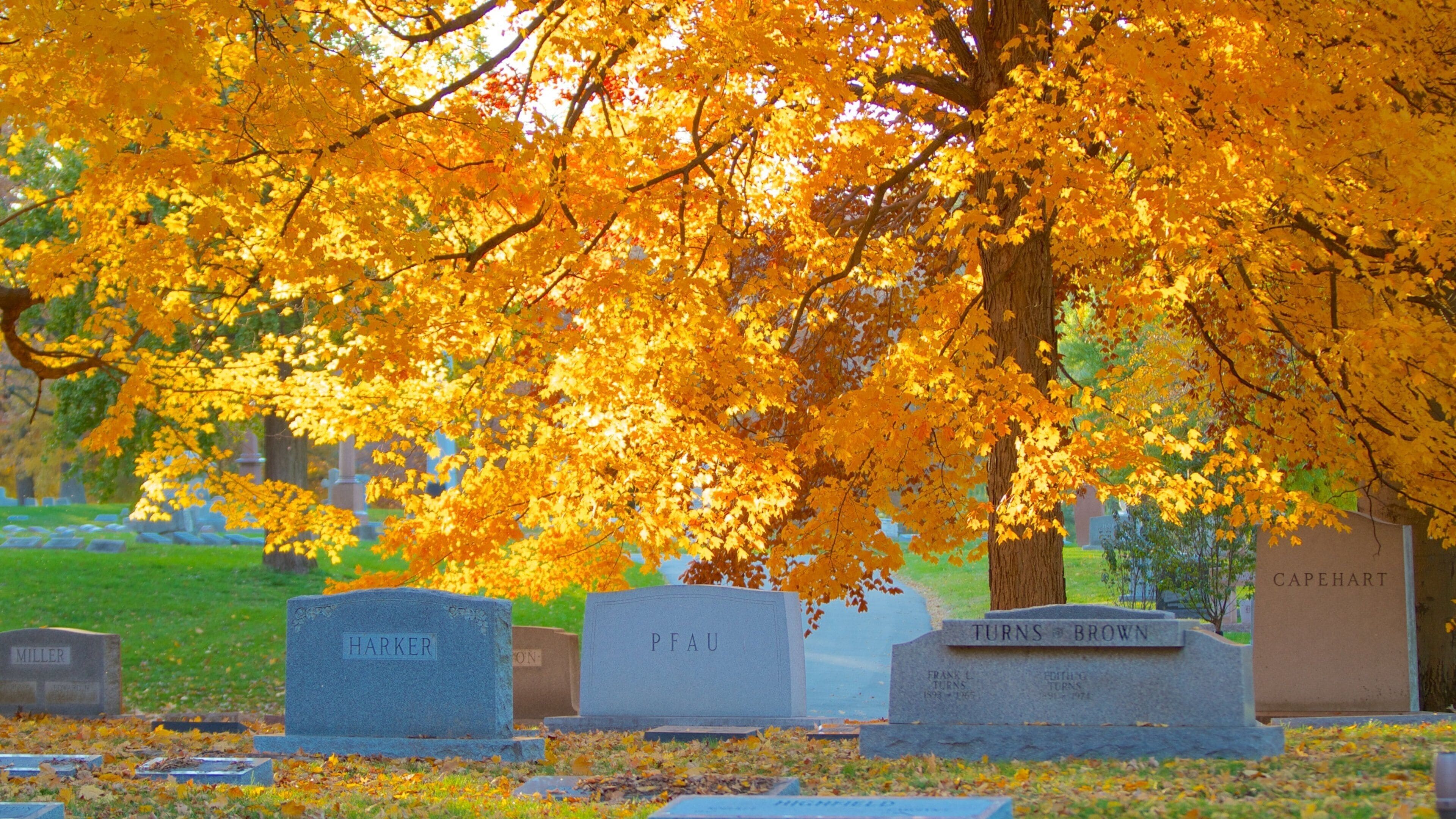 Crown Hill Cemetery featuring a cemetery, autumn leaves and a memorial