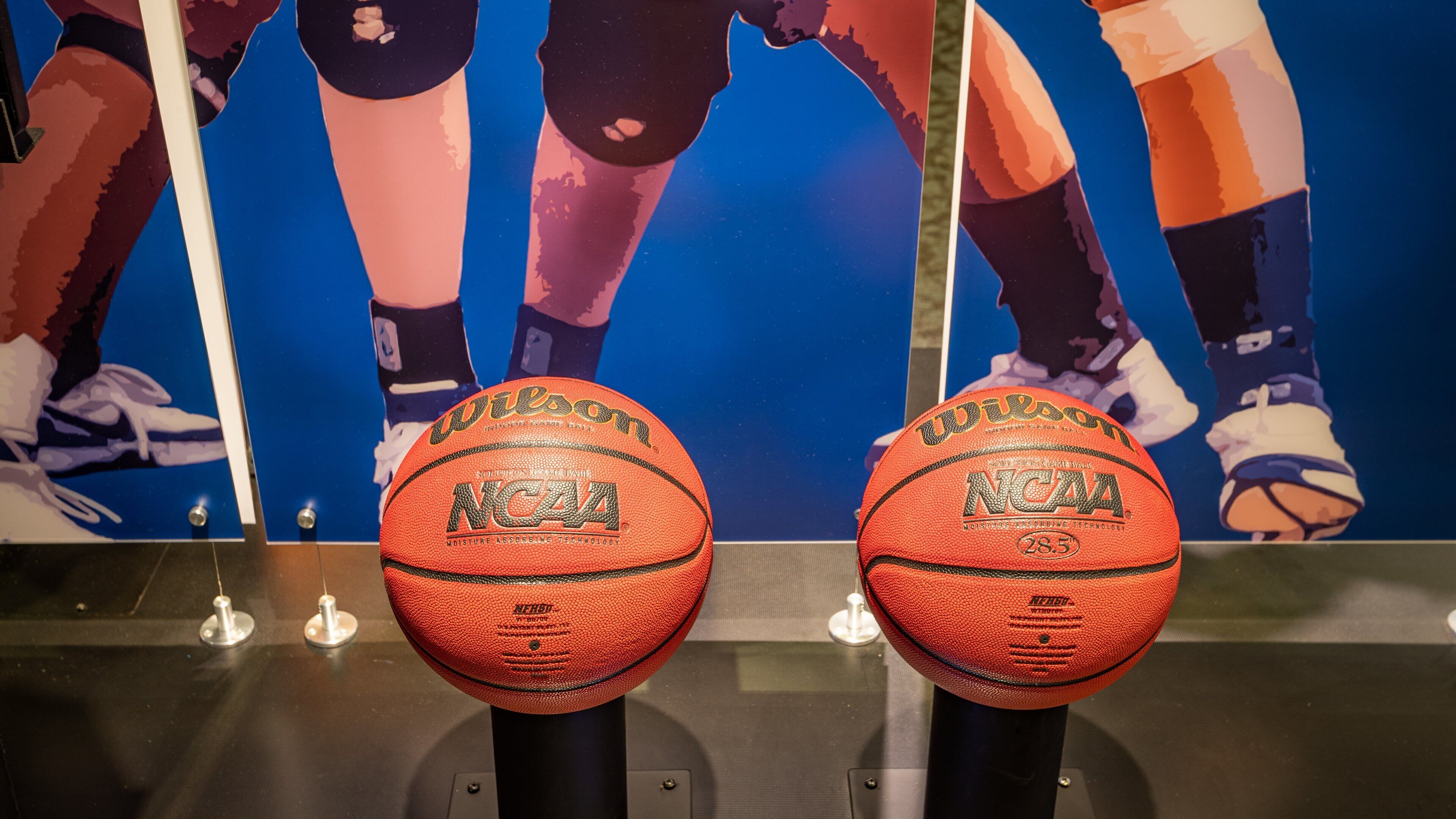 NCAA Hall of Champions