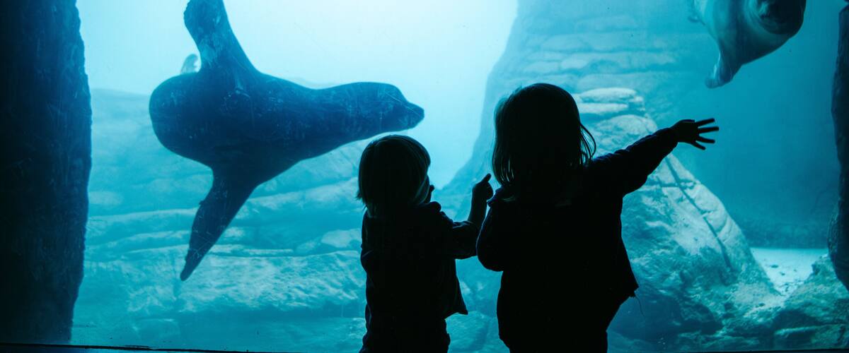 Indianapolis Zoo showing marine life and a waterpark as well as children