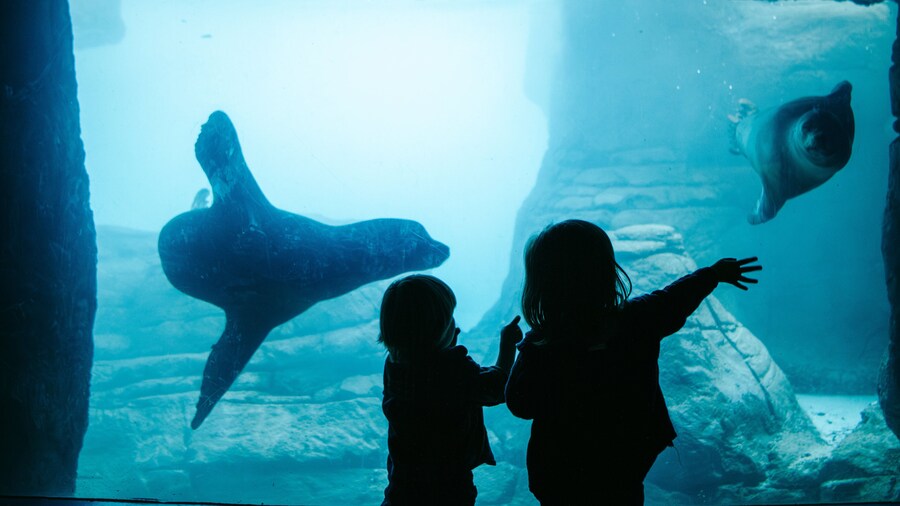 Indianapolis Zoo showing marine life and a waterpark as well as children