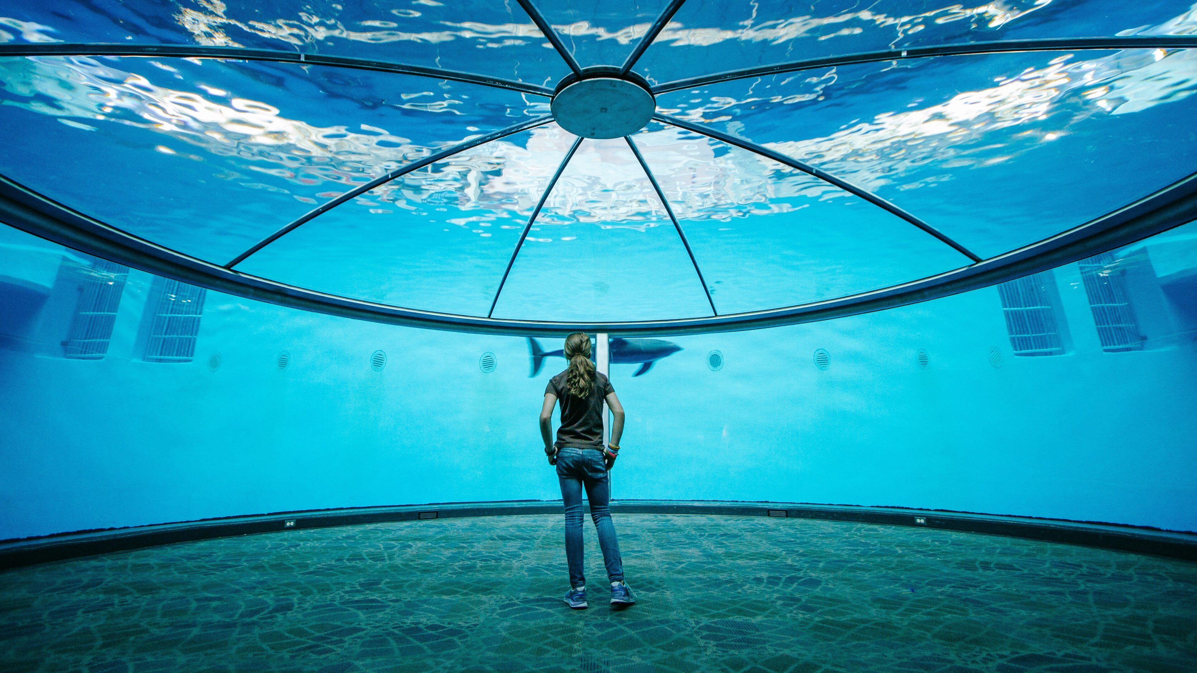 Indianapolis Zoo featuring marine life and interior views as well as an individual femail