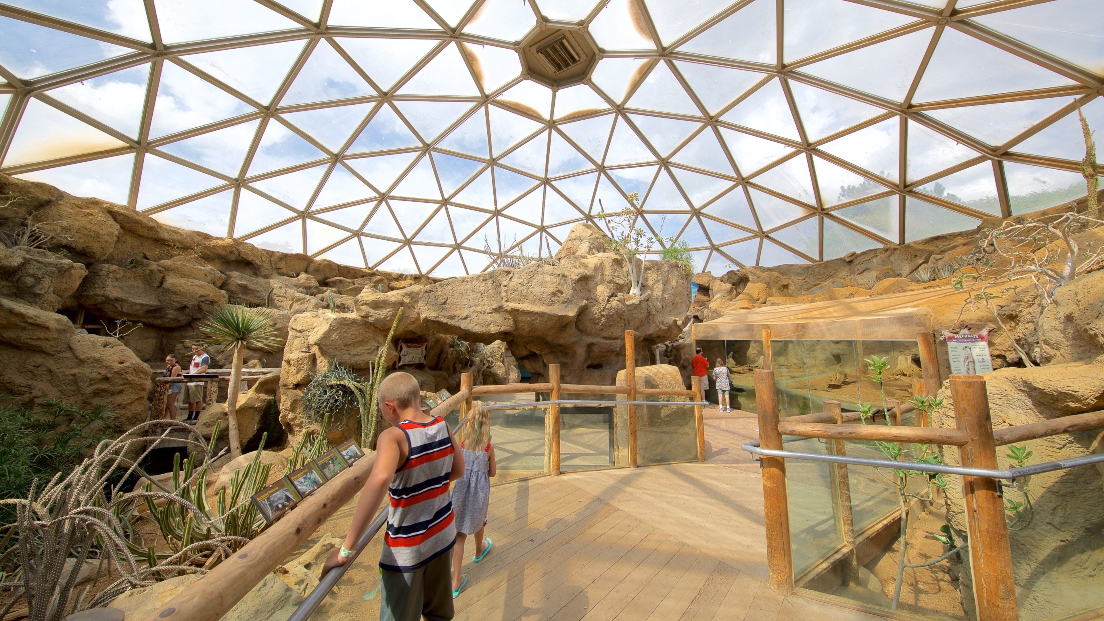 Indianapolis Zoo which includes zoo animals as well as children