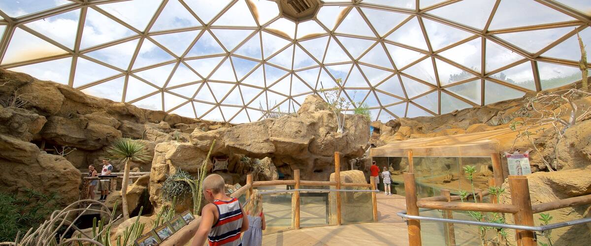 Indianapolis Zoo which includes zoo animals as well as children