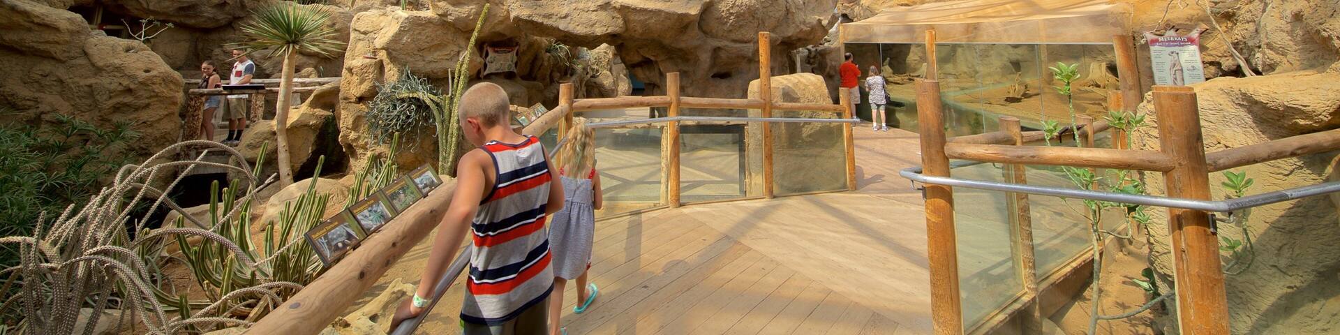 Indianapolis Zoo which includes zoo animals as well as children