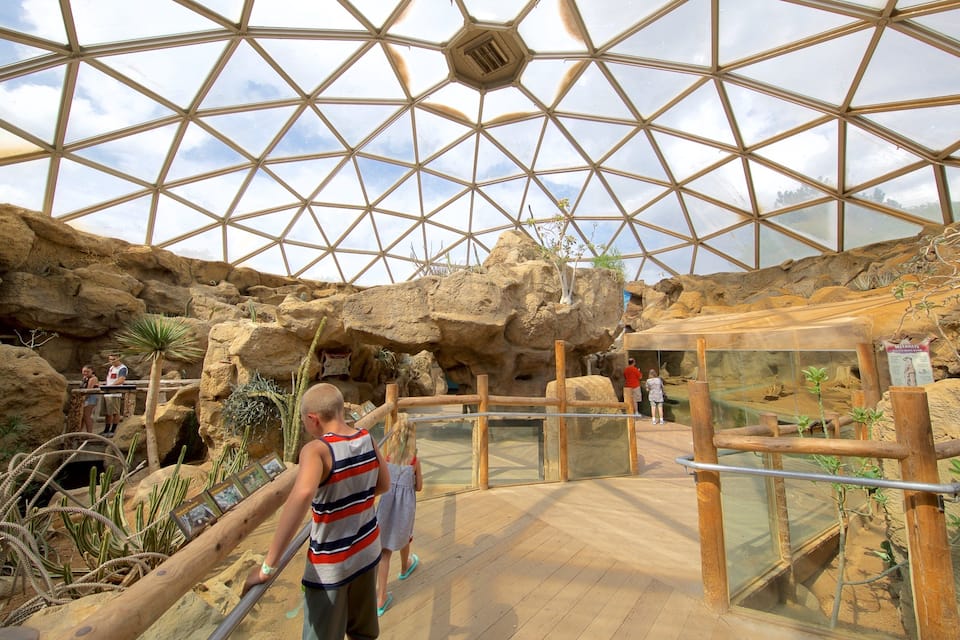 Estructura de domo geodésico con interior rocoso y zonas de visualización de vidrio.