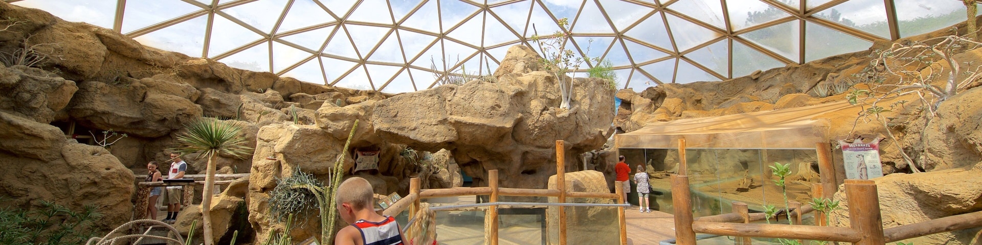 Indianapolis Zoo which includes zoo animals as well as children