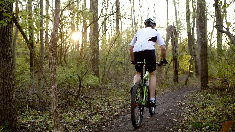 Fort Harrison State Park which includes forest scenes and cycling as well as an individual male