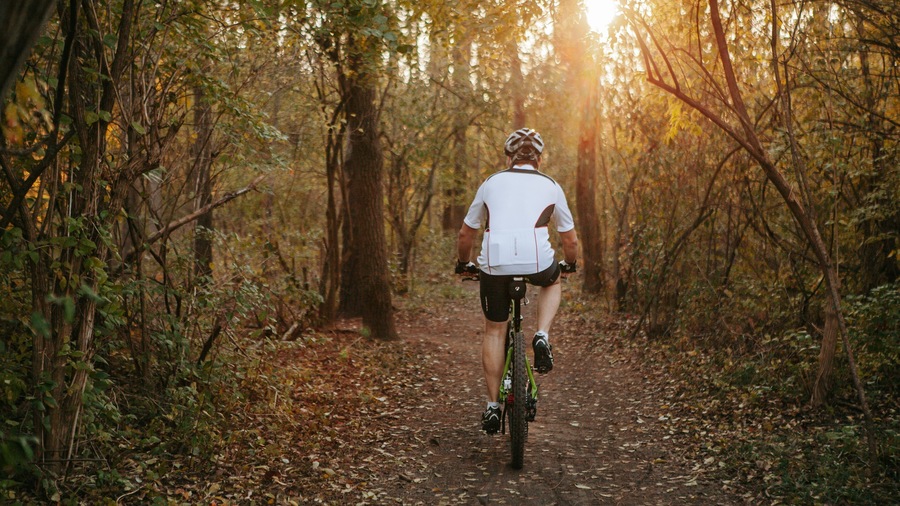Fort Harrison State Park which includes forests, a sunset and mountain biking