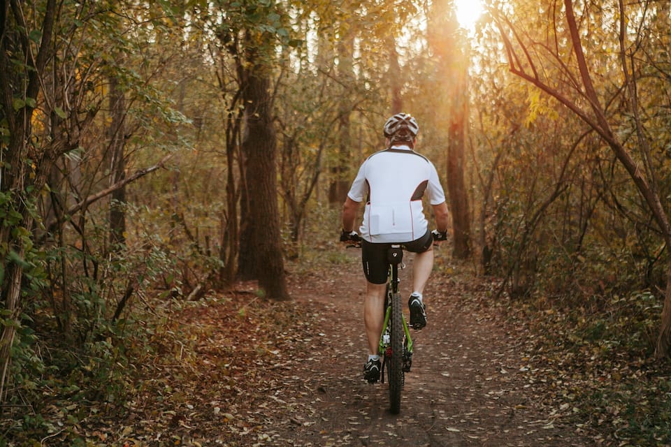 A cyclist on a forest trail.