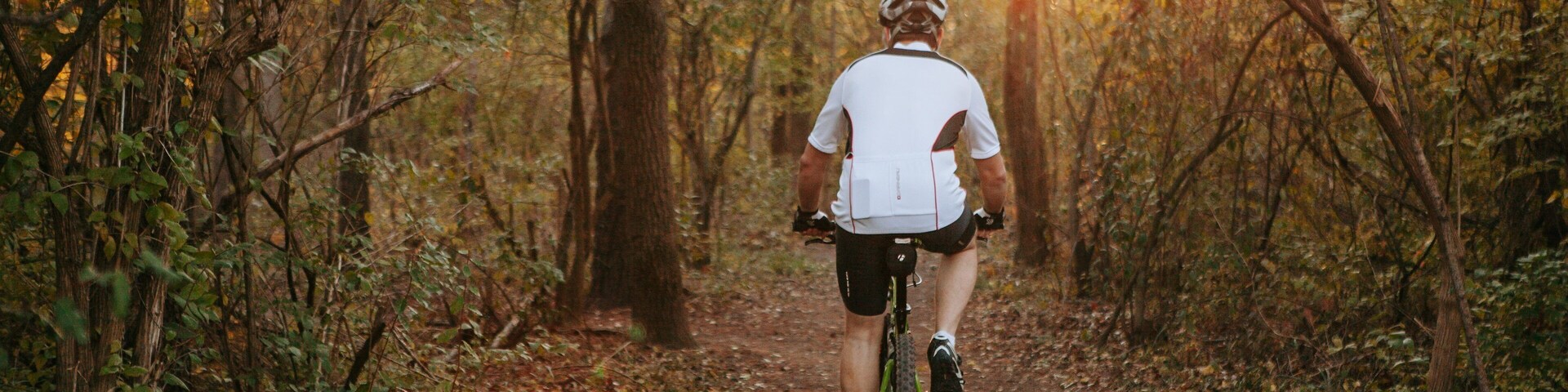 Fort Harrison State Park which includes forests, a sunset and mountain biking