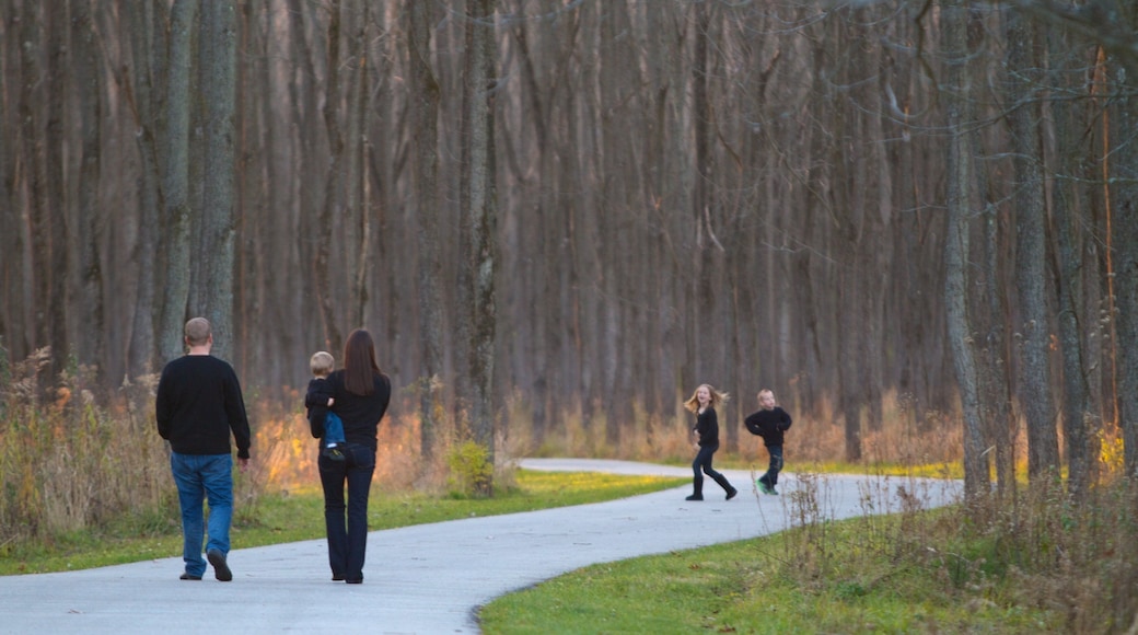Fort Harrison State Park das einen Wälder, Herbstfarben und Wandern oder Spazieren