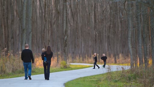 Fort Harrison State Park featuring hiking or walking, a park and landscape views