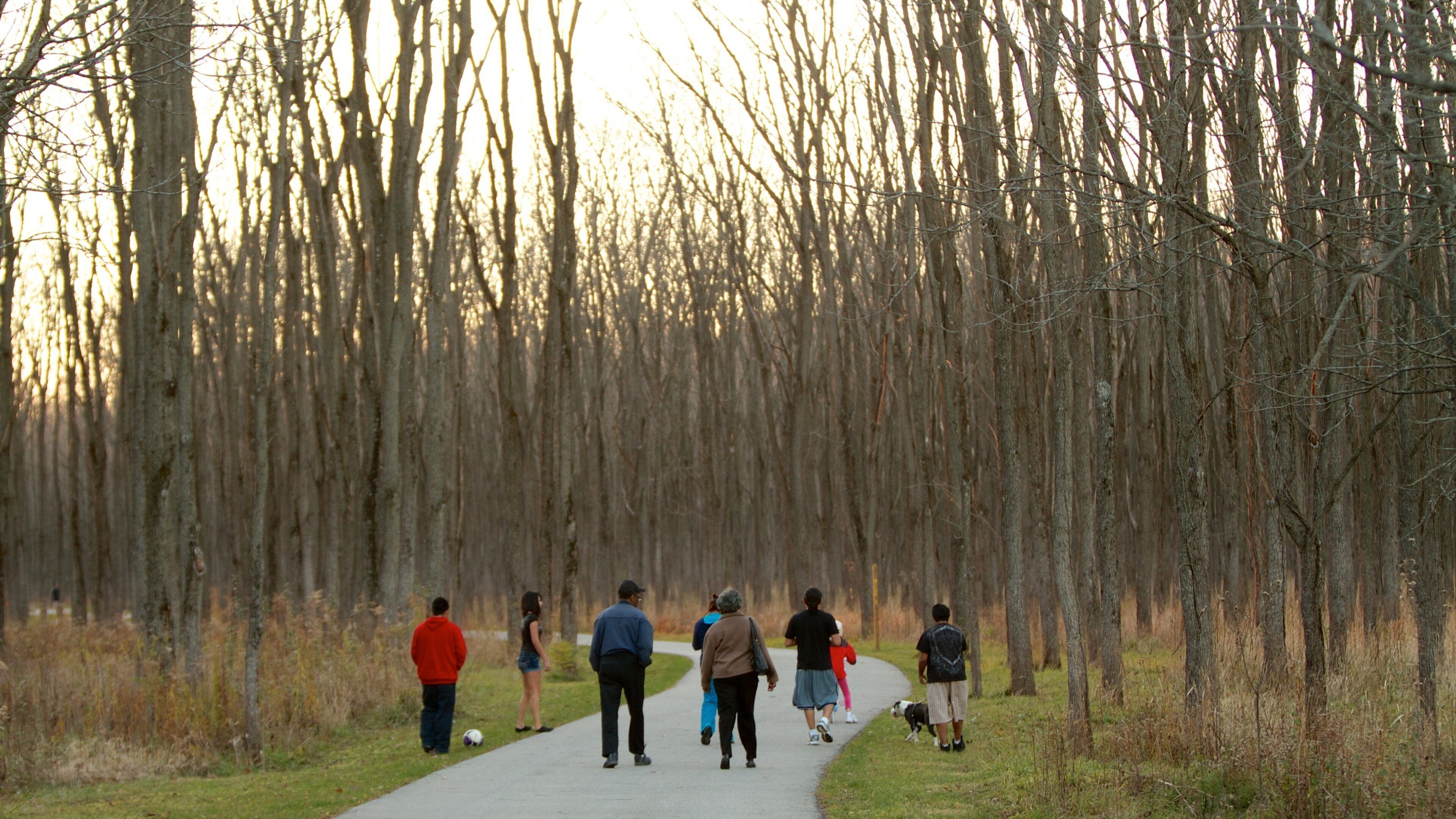 Fort Harrison State Park featuring a park as well as a small group of people