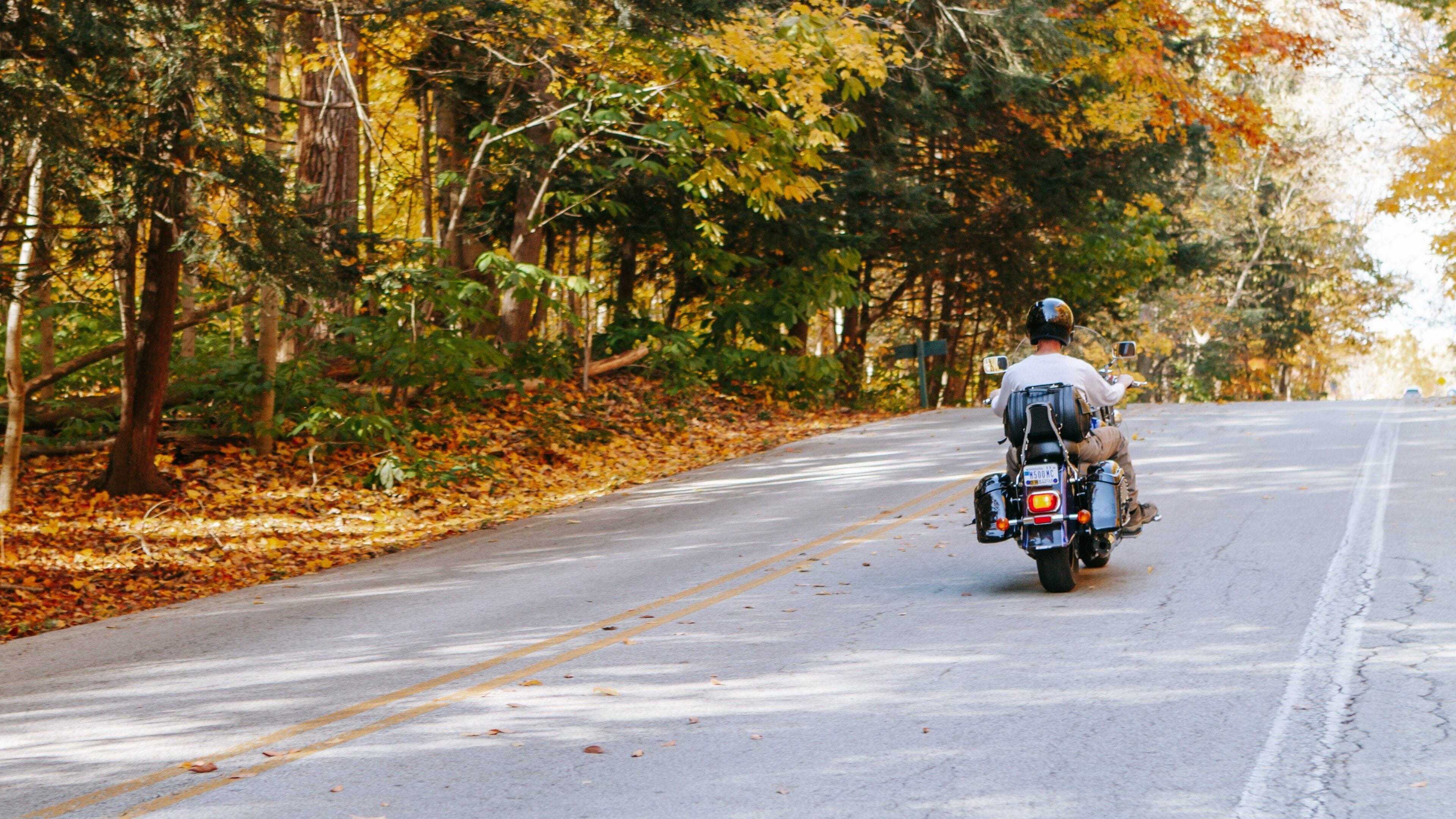 Eagle Creek Park featuring motorbike riding and fall colors as well as an individual male