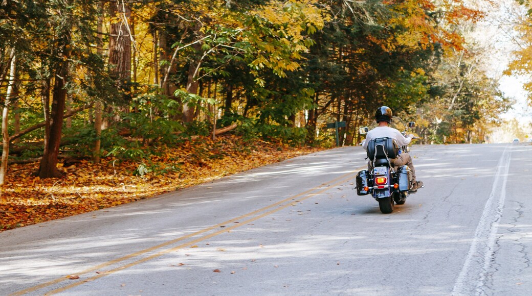 Eagle Creek Park featuring motorbike riding and fall colors as well as an individual male