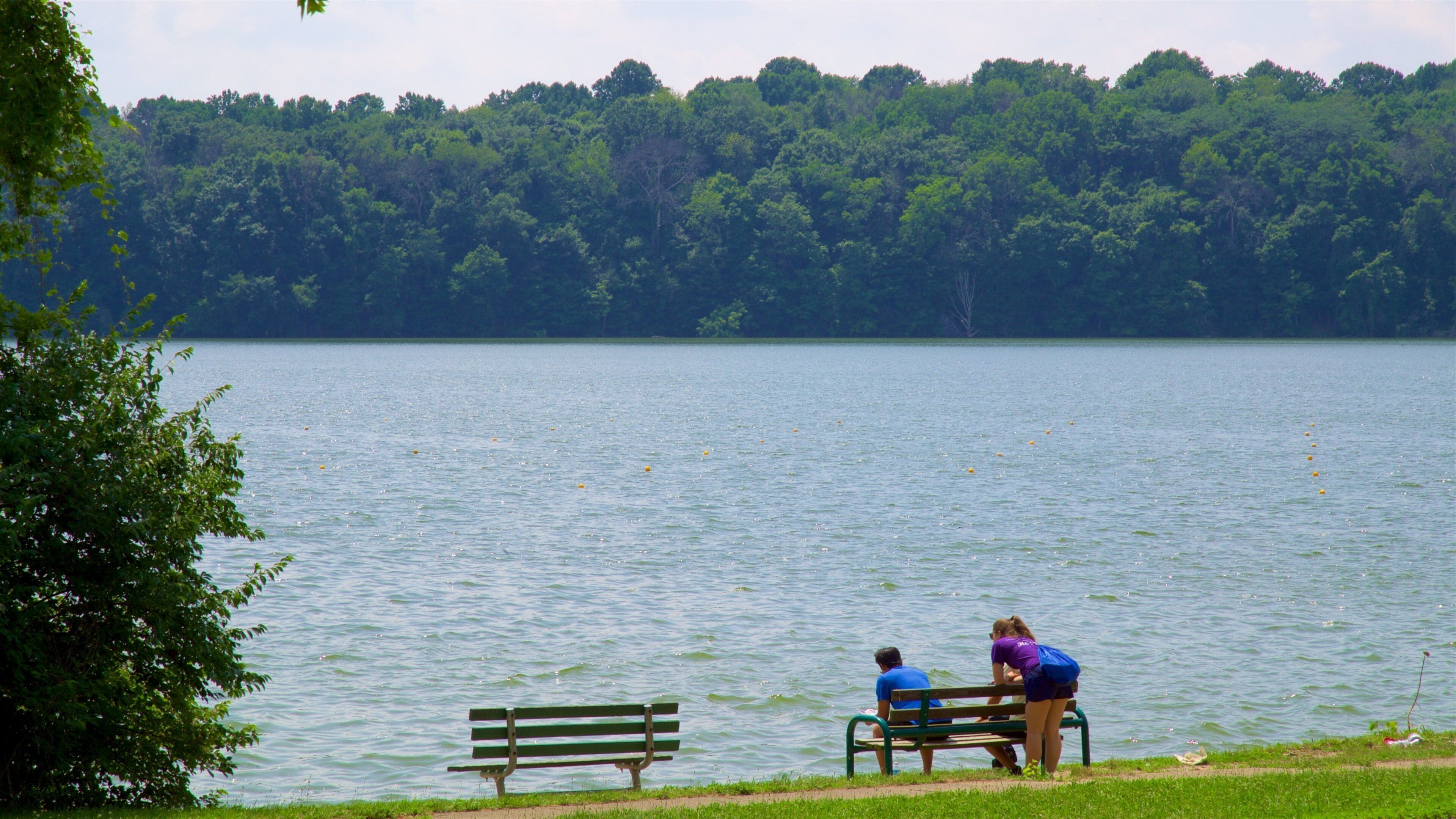 Parc d\'Eagle Creek mettant en vedette lac ou étang et jardin aussi bien que famille