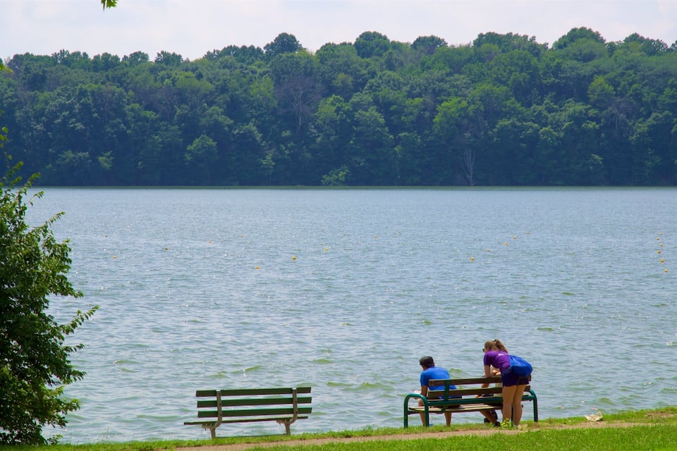 Um lago com margens arborizadas, duas pessoas sentadas num banco e um banco na relva.