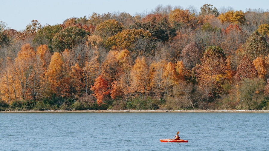 Eagle Creek Park which includes a river or creek, autumn leaves and kayaking or canoeing